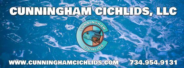 Cunningham Cichlids