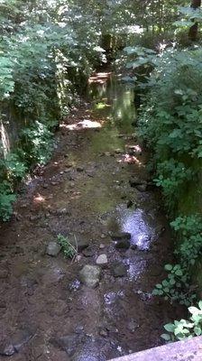 creek flows through the center of the park