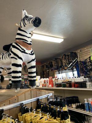 They sell these zebras with wheels. Cute!!