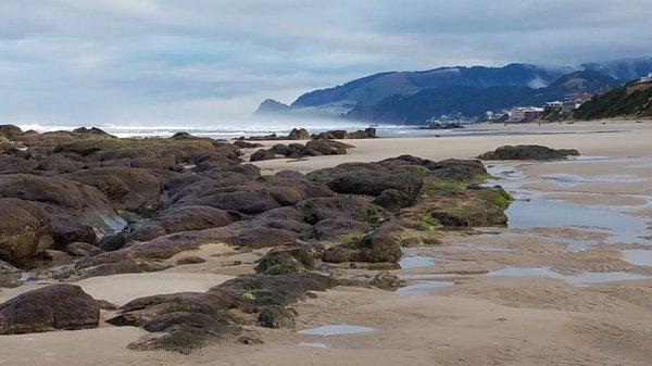 View of Cascade Head