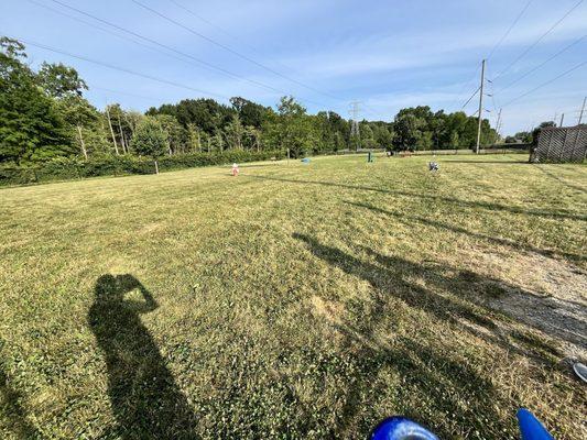 Large dog park, so large