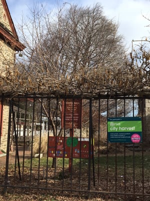 View of the garden from the street. 2/13/16