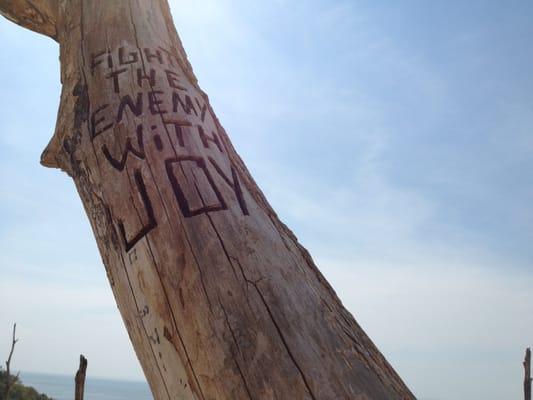 Warren Dunes Concession