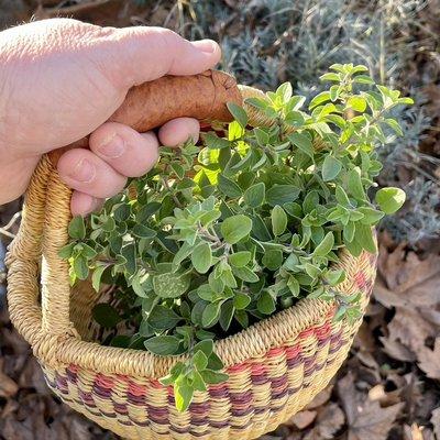 The days at HerbanWld are made up of many small Harvests