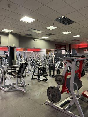 Tons of free weight machines!