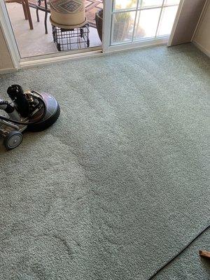 Carpet Cleaning