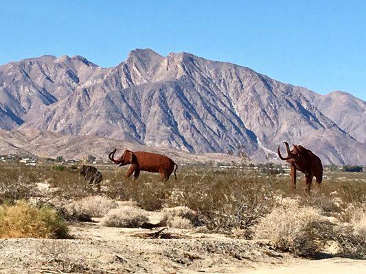 Metal sculptures on our way to Borrego Springs