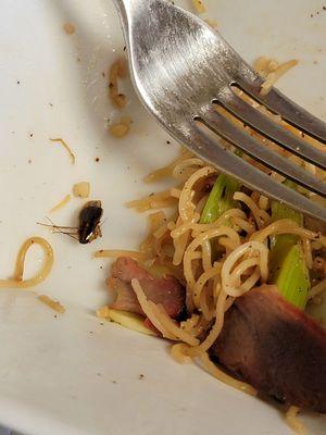 Chinese noodles mix roaches