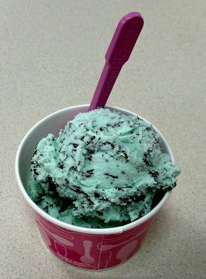 Double scoop of mint chocolate chip. WHAT?! No pistachio almond? What sort of NONSENSE is this?