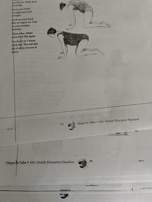 Photocopy from the 2001 Health and Education Handout