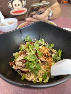 Stewed Duck Soup with noodles