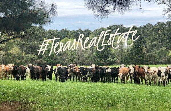 Picturesque East Tx Farms