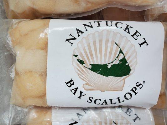 Nantucket Bays. Only Harvsted on Nantucket. No Other Place in the World has thm.