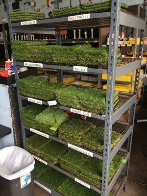 Artificial Turf samples