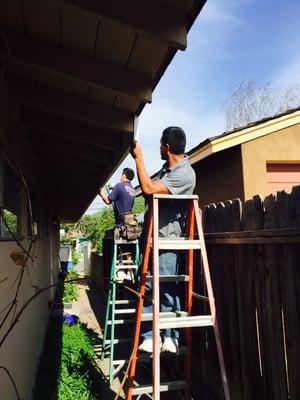 Costa Mesa CA pine wood fascia board replacement around the perimeter of the dwelling.  Primer and exterior coat of paint also.