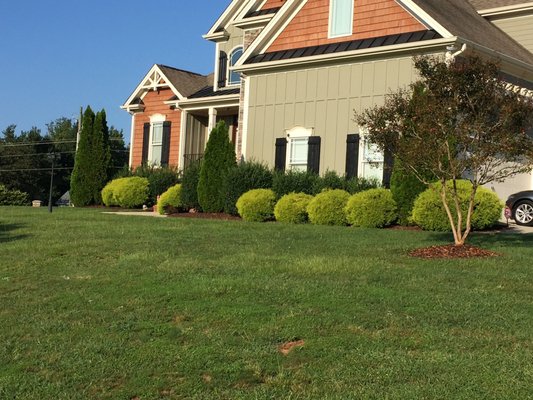 Rosemont Landscaping and Lawncare