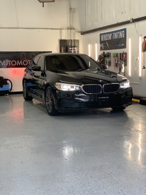 Tints on BMW