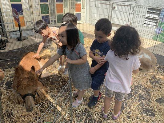 (08/23/19) FARM DAY for the summer camp! We had a petting zoo at B&MF!