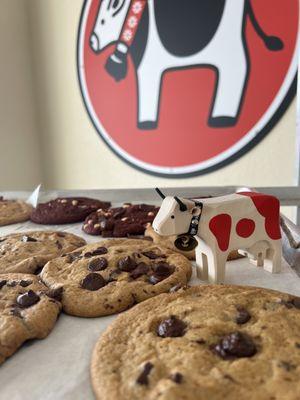 fresh baked chocolate chip cookies