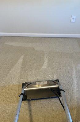 Professional carpet cleaning services in Maryland.