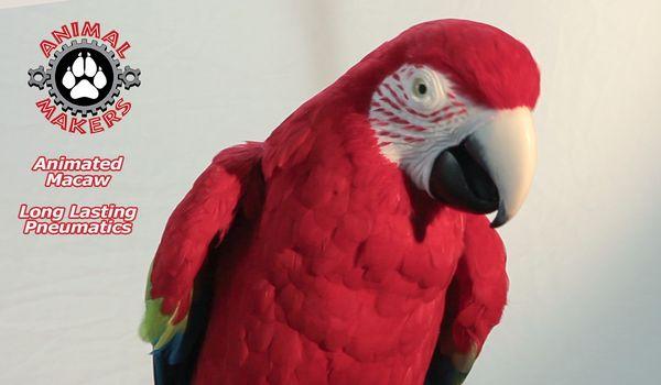 Animated Parrot Macaw