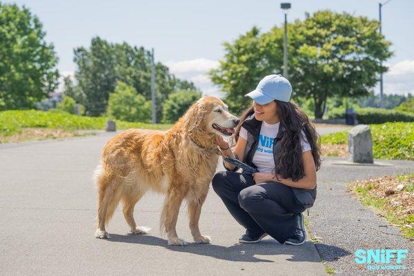 SNIFF Dog Walkers - sniffoc.com