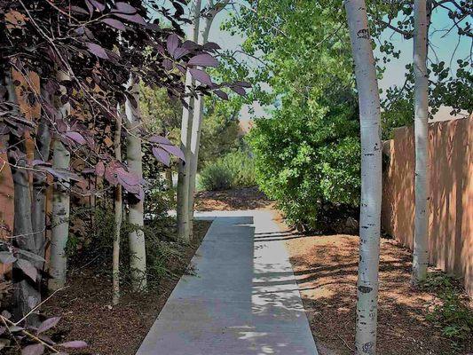 The Aspen-lined path to Home Ownership in Santa Fe...contact Pamalita Paloma to guide your way HOME!