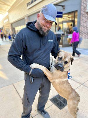 K9 Obedience Unleashed