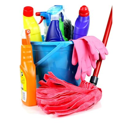 Squeaky Clean Janitorial Services