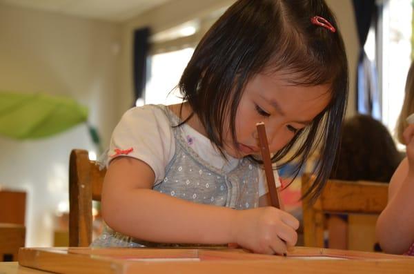 International Montessori School