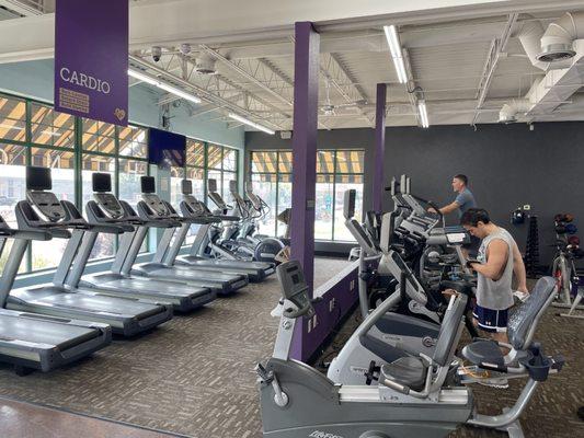 Cardio equipment includes treadmills, AMTs, ellipticals, stationary bikes, recumbent bikes, stairmill, AirDyne bike, rower and more!