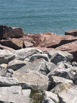 Lake Michigan. Along Kenosha Dunes Trail.