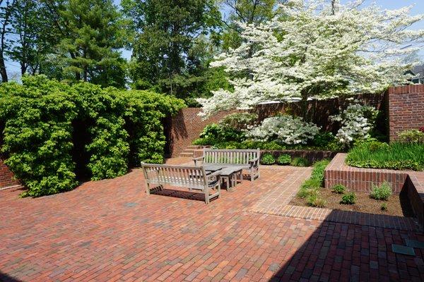 A quiet courtyard is enlivened by a flowering dogwood and azaleas. The arbor is covered in climbing hydrangea.