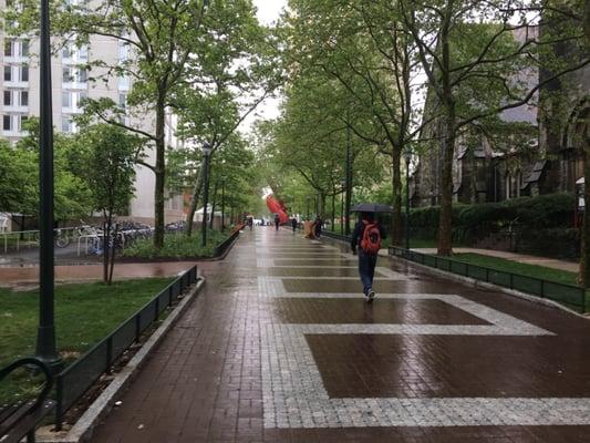 Locust Walk on a rainy day...