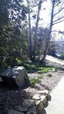 Beautiful natural garden with benches and trails.