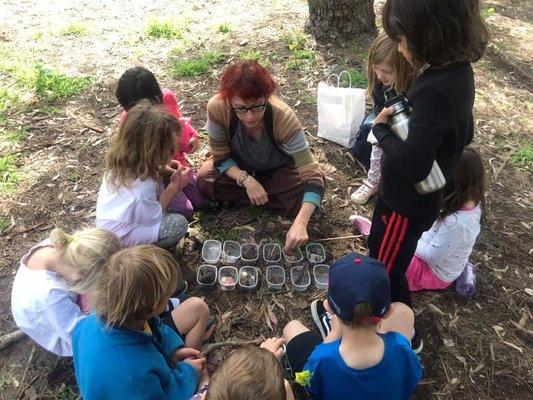 5 year old students learning math in an outdoor classroom! #WhyWeTKG