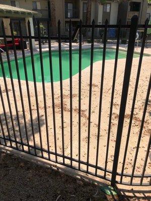 Green pool during the hottest days of summer.