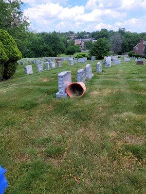 Bad maintenance of cemetery