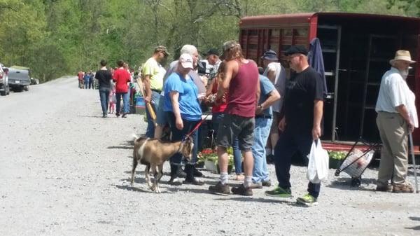 Never know what you will see at Pence Springs Flea Market.