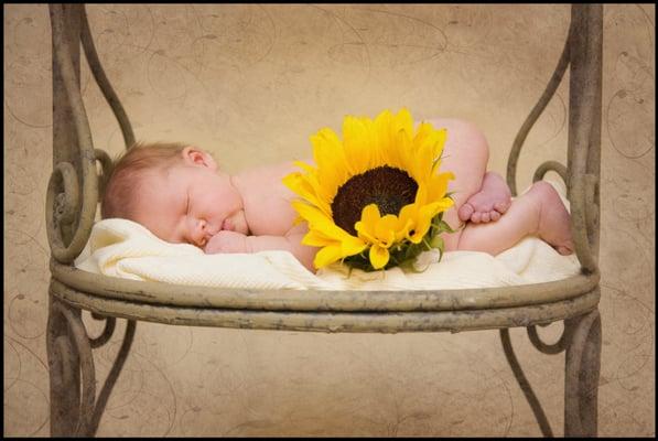 Newborn portrait with sunflower