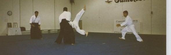 Aikikai International