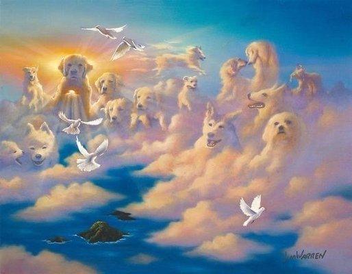 Dogs in heaven