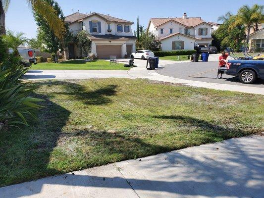 Alex and partner treating the lawn!