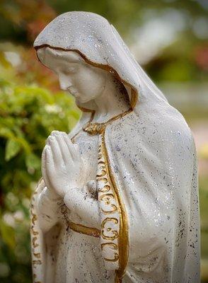 Virgin Mary statue outside the church praying for us all.