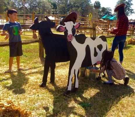 Milking cows. Really!-2016