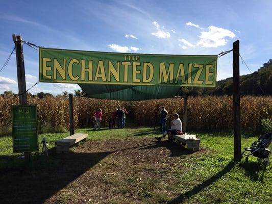 Enchanted Maze