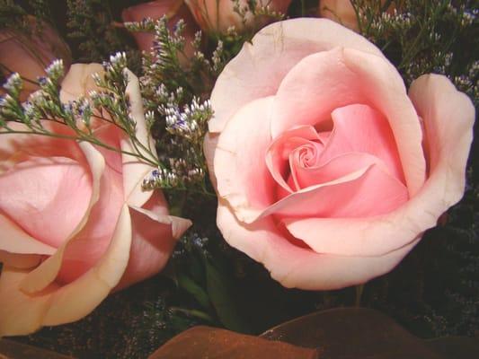 surprise: pink roses