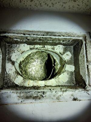 Mold located in supply register-rental property in Gainesville Florida