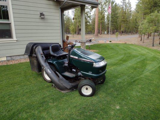 Just mowed the lawn for second time this year (2022). It is really green for not having the sprinklers on yet. Lawn put down late July 2021.