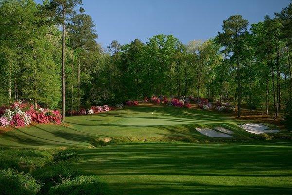 Come see why Dancing Rabbit Golf Club is considered one of the Top Golf Courses in the Nation.